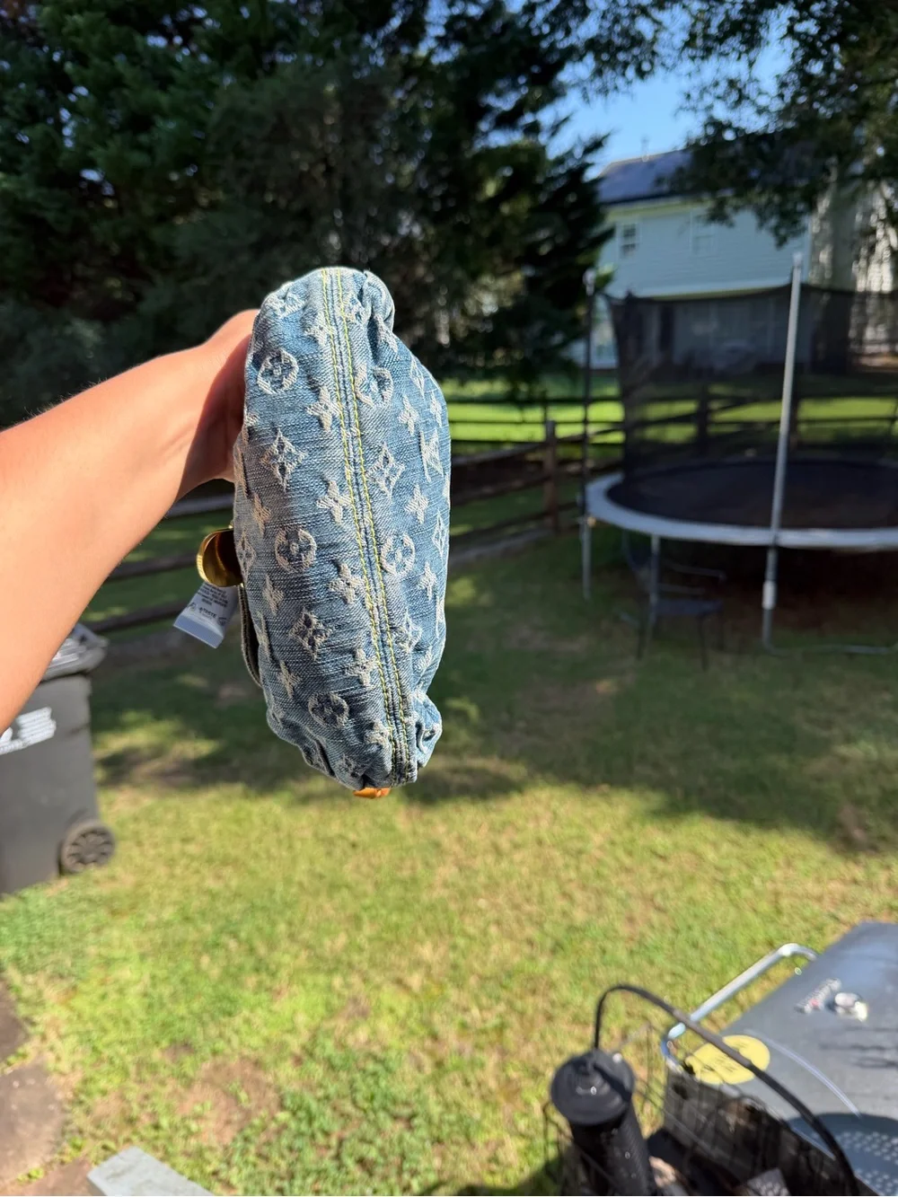 Louis Vuitton monogram pleaty bag